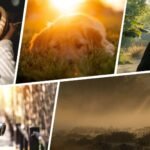 How to Use Natural Light for Better Photos