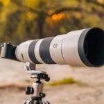 Best Cameras and Lenses for Wildlife Photography