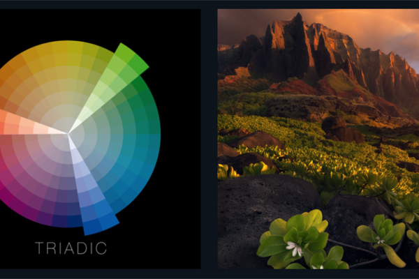 Using Color Theory to Improve Photography