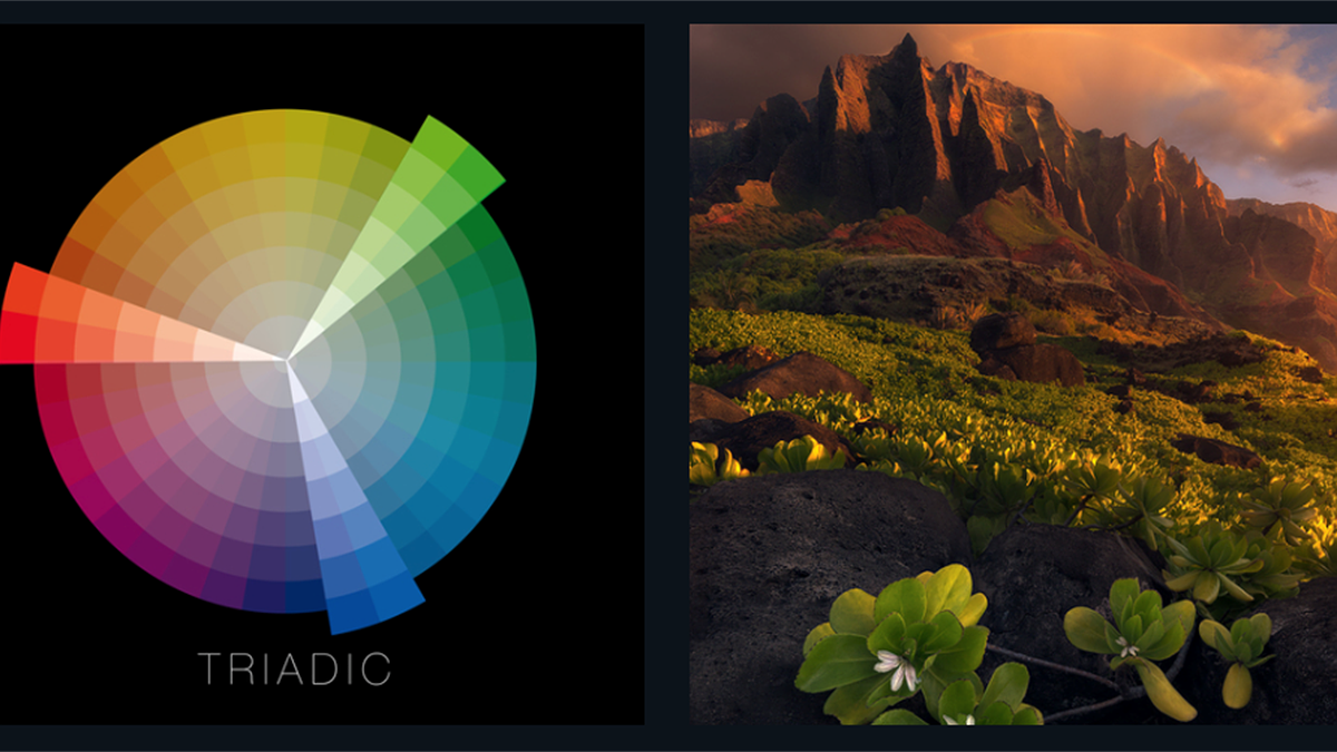 Using Color Theory to Improve Photography