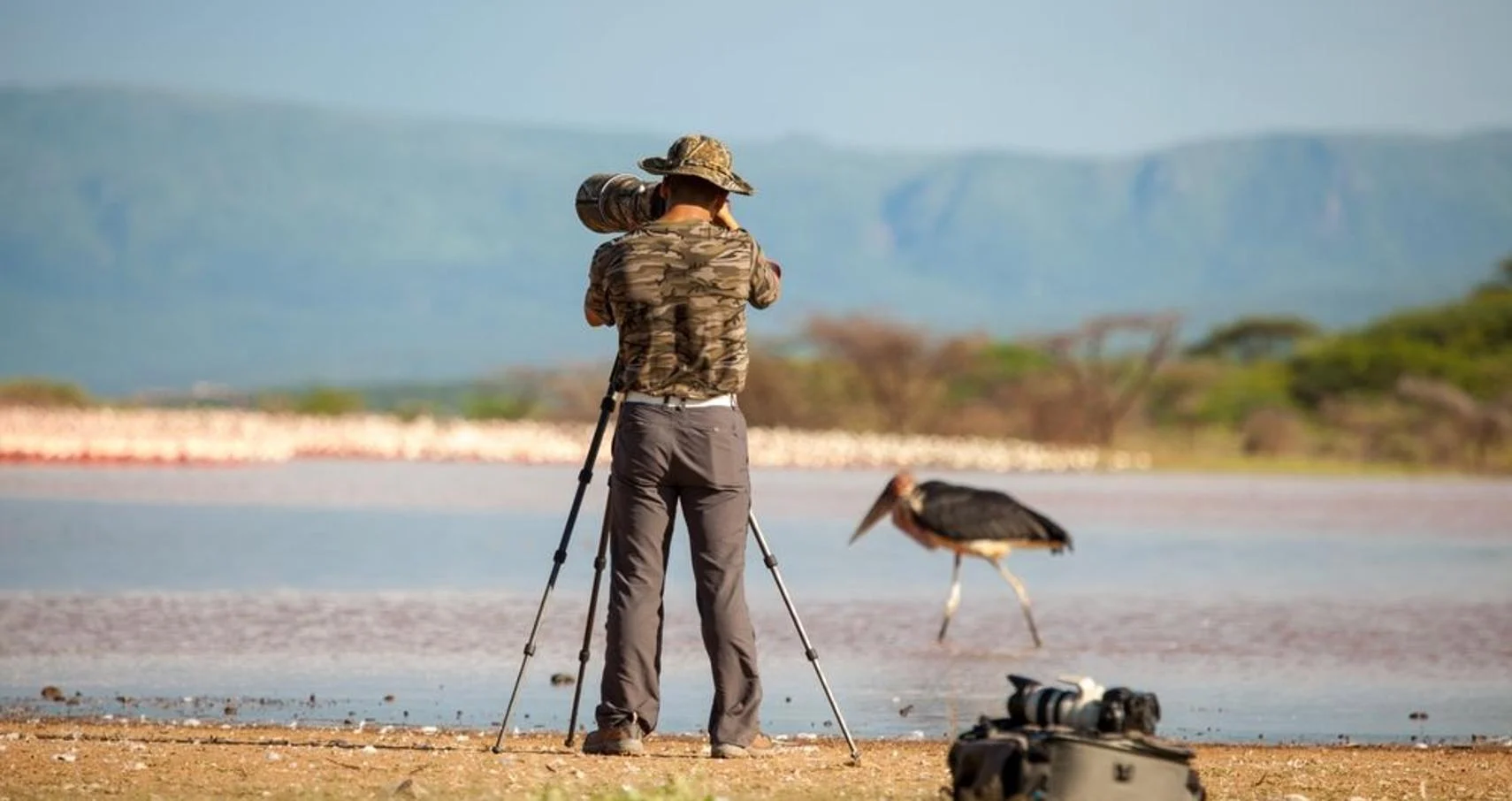 Best Settings for Wildlife Photography Success