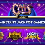 Wolf Winner Casino Online Multi-Account Detection Policy